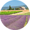 Location de vacances Luberon